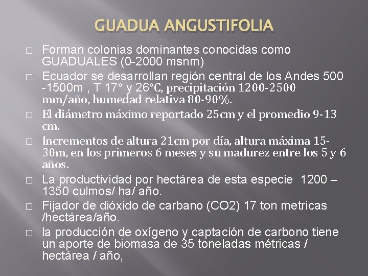 GUADUA ANGUSTIFOLIA � � � � Forman colonias dominantes conocidas como GUADUALES (0 -2000