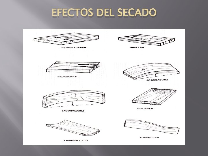 EFECTOS DEL SECADO 