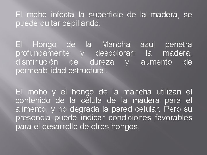 El moho infecta la superficie de la madera, se puede quitar cepillando. El Hongo