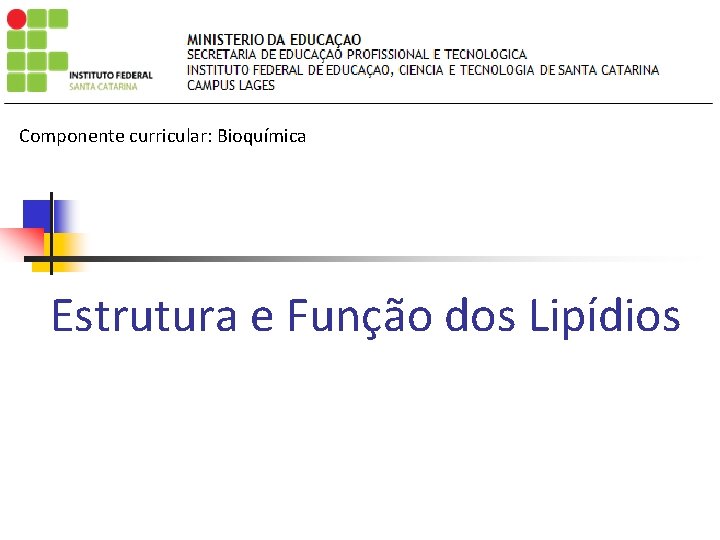 Componente curricular: Bioquímica Estrutura e Função dos Lipídios 