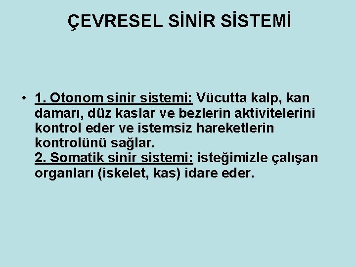 ÇEVRESEL SİNİR SİSTEMİ • 1. Otonom sinir sistemi: Vücutta kalp, kan damarı, düz kaslar