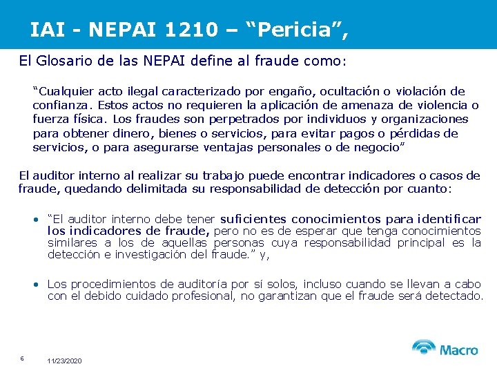 IAI - NEPAI 1210 – “Pericia”, El Glosario de las NEPAI define al fraude