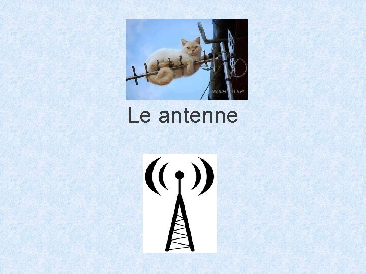 Le antenne 