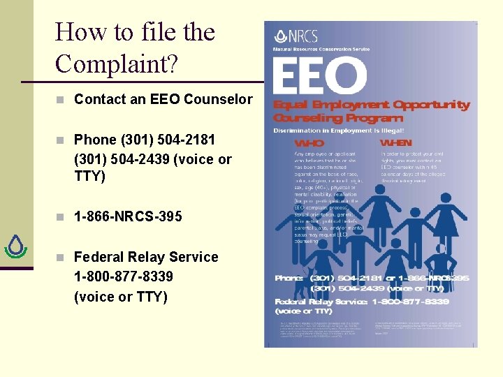 How to file the Complaint? n Contact an EEO Counselor n Phone (301) 504