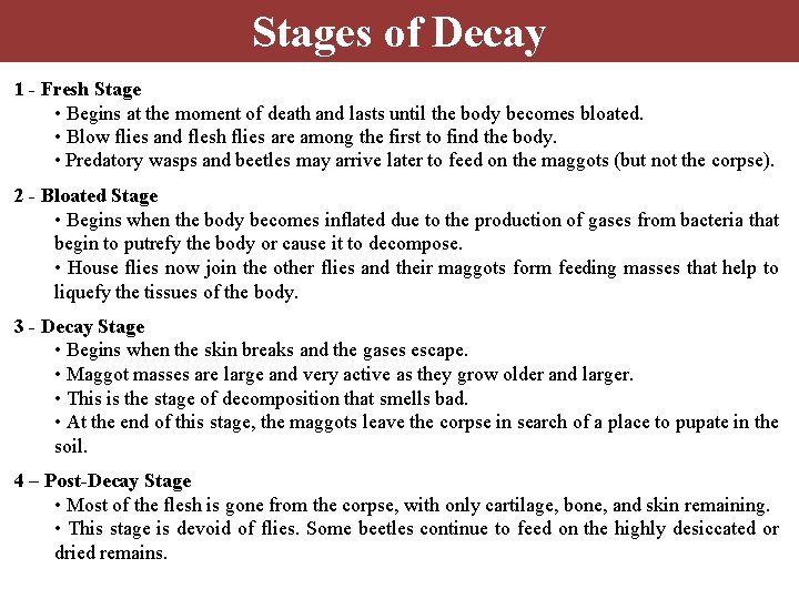 Stages of Decay 1 - Fresh Stage • Begins at the moment of death Stages of Decay 1 - Fresh Stage • Begins at the moment of death