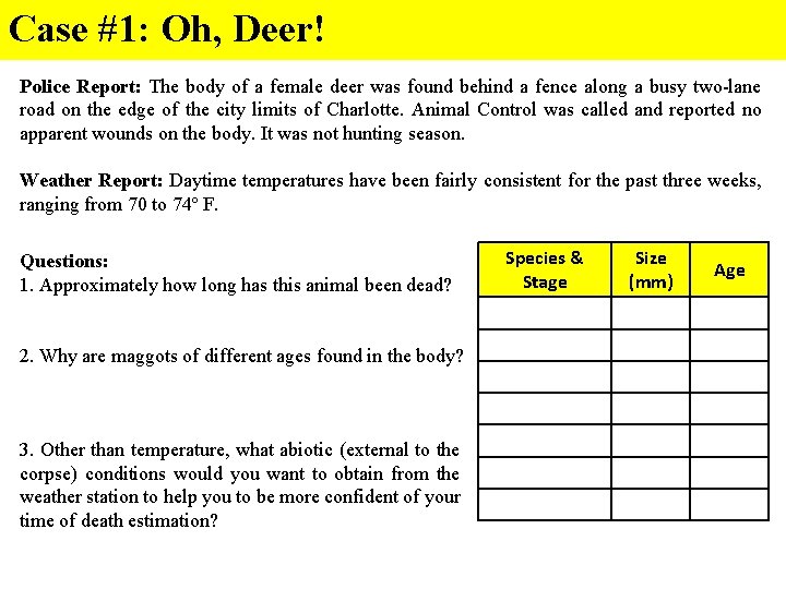 Case #1: Oh, Deer! Police Report: The body of a female deer was found Case #1: Oh, Deer! Police Report: The body of a female deer was found