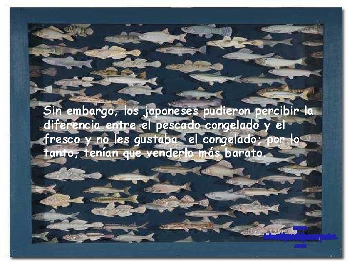 Sin embargo, los japoneses pudieron percibir la diferencia entre el pescado congelado y el