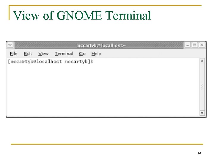 View of GNOME Terminal 14 