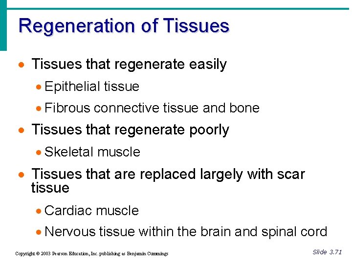 Regeneration of Tissues · Tissues that regenerate easily · Epithelial tissue · Fibrous connective