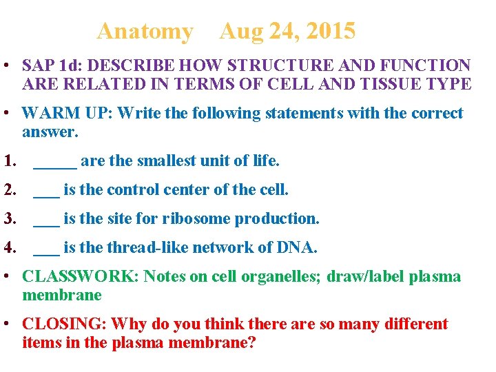 Anatomy Aug 24, 2015 • SAP 1 d: DESCRIBE HOW STRUCTURE AND FUNCTION ARE