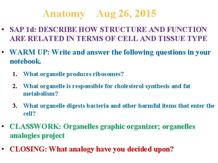 Anatomy Aug 26, 2015 • SAP 1 d: DESCRIBE HOW STRUCTURE AND FUNCTION ARE
