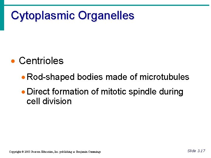 Cytoplasmic Organelles · Centrioles · Rod-shaped bodies made of microtubules · Direct formation of