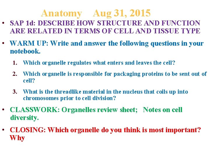 Anatomy Aug 31, 2015 • SAP 1 d: DESCRIBE HOW STRUCTURE AND FUNCTION ARE