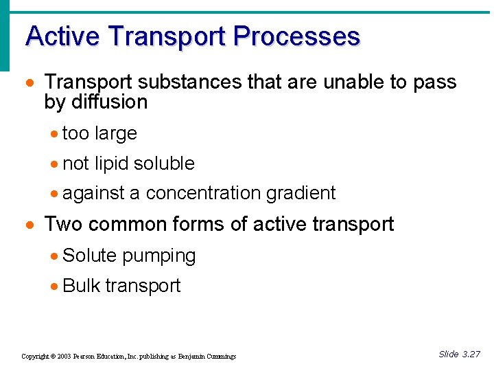 Active Transport Processes · Transport substances that are unable to pass by diffusion ·