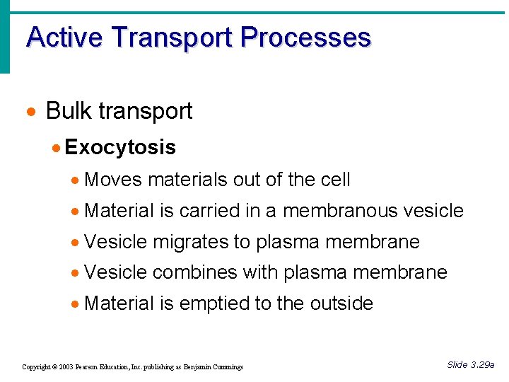 Active Transport Processes · Bulk transport · Exocytosis · Moves materials out of the