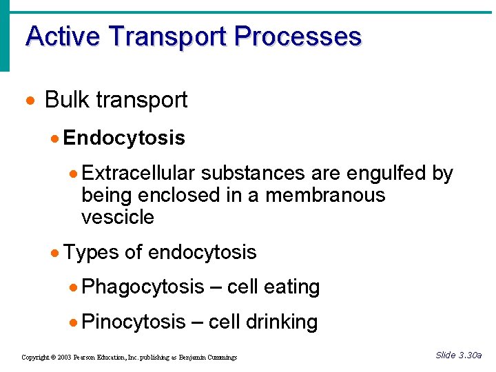 Active Transport Processes · Bulk transport · Endocytosis · Extracellular substances are engulfed by