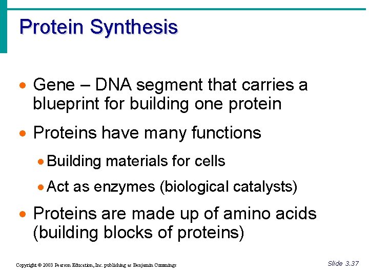 Protein Synthesis · Gene – DNA segment that carries a blueprint for building one