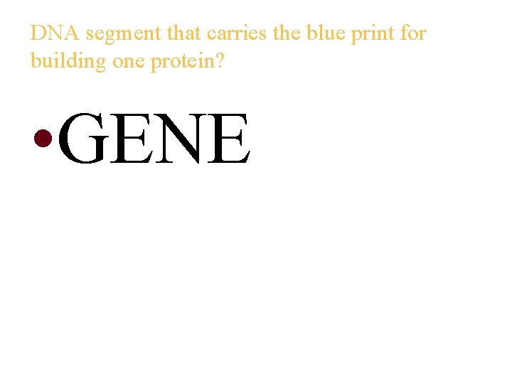 DNA segment that carries the blue print for building one protein? • GENE 