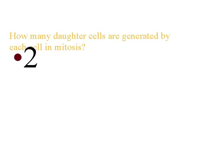 How many daughter cells are generated by each cell in mitosis? • 2 