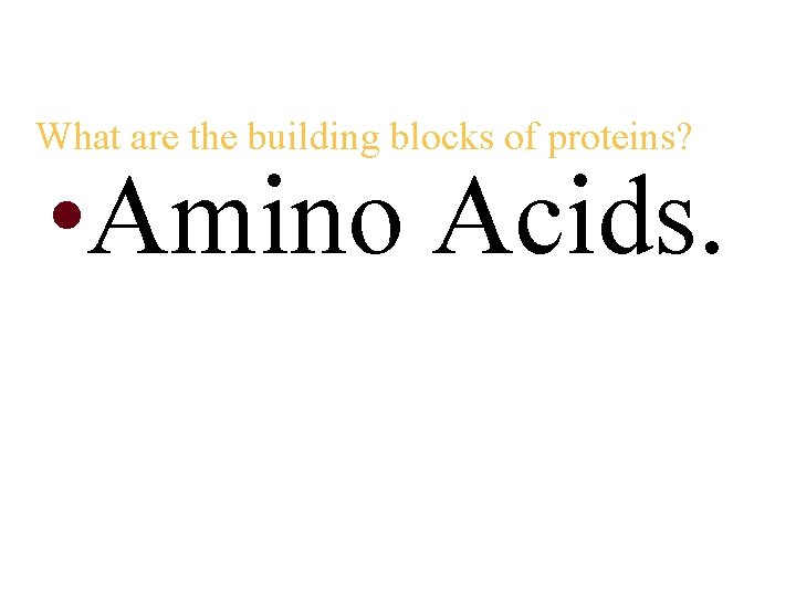 What are the building blocks of proteins? • Amino Acids. 