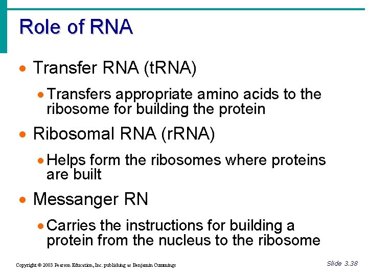 Role of RNA · Transfer RNA (t. RNA) · Transfers appropriate amino acids to