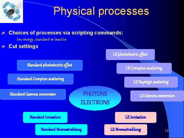 Physical processes Choices of processes via scripting commands: low energy, standard or inactive Cut