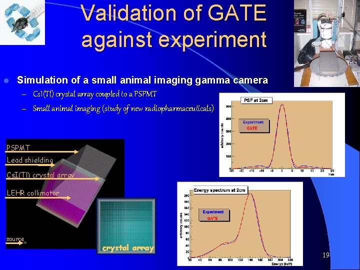 Validation of GATE against experiment l Simulation of a small animal imaging gamma camera