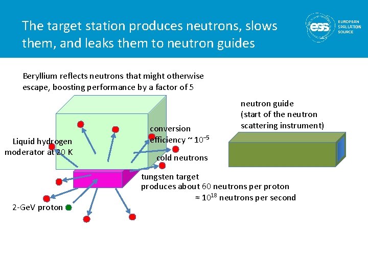 The target station produces neutrons, slows them, and leaks them to neutron guides Beryllium