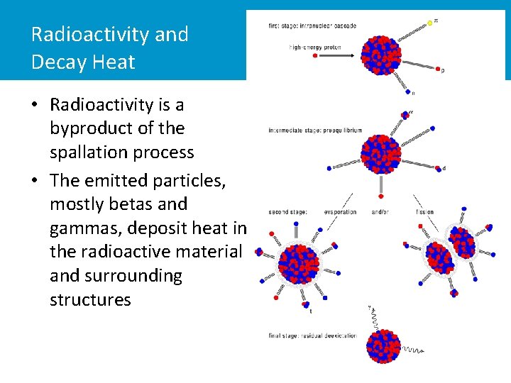 Radioactivity and Decay Heat • Radioactivity is a byproduct of the spallation process •