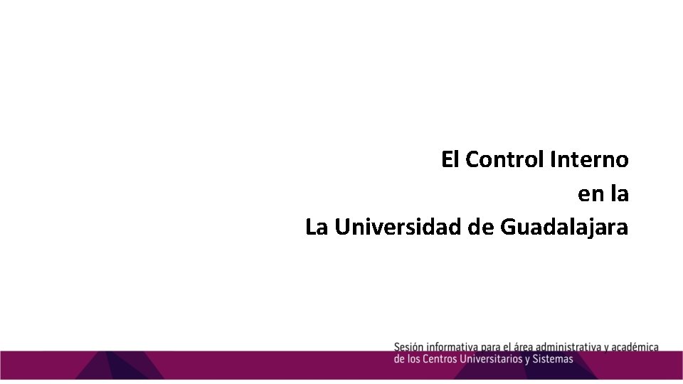 El Control Interno en la La Universidad de Guadalajara 