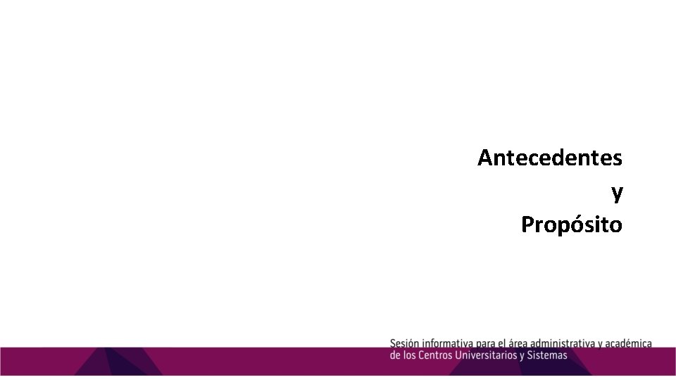 Antecedentes y Propósito 