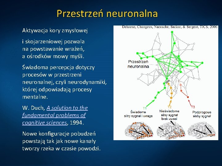 Przestrzeń neuronalna Aktywacja kory zmysłowej i skojarzeniowej pozwala na powstawanie wrażeń, a ośrodków mowy