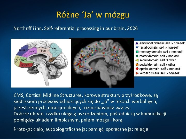 Różne ‘Ja’ w mózgu Northoff i inn, Self-referential processing in our brain, 2006 CMS,