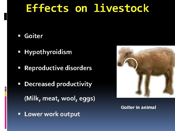 Effects on livestock Goiter Hypothyroidism Reproductive disorders Decreased productivity (Milk, meat, wool, eggs) Goiter