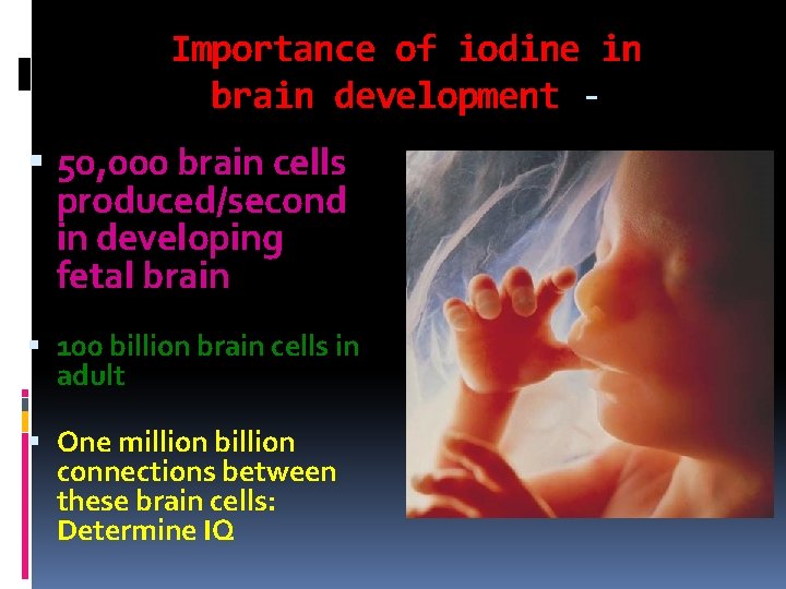 Importance of iodine in brain development 50, 000 brain cells produced/second in developing fetal