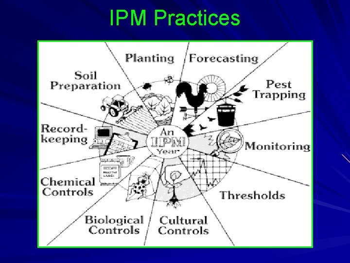 Ipm Works Crop Protection Insects Nematodes How to Put Together