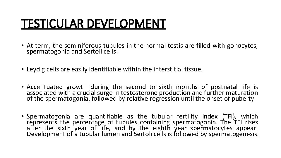 TESTICULAR DEVELOPMENT • At term, the seminiferous tubules in the normal testis are filled