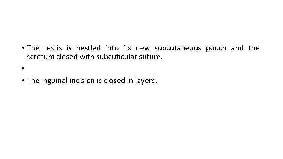  • The testis is nestled into its new subcutaneous pouch and the scrotum