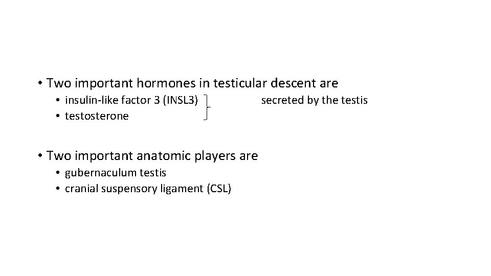  • Two important hormones in testicular descent are • insulin-like factor 3 (INSL