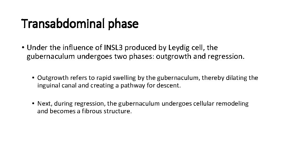 Transabdominal phase • Under the influence of INSL 3 produced by Leydig cell, the