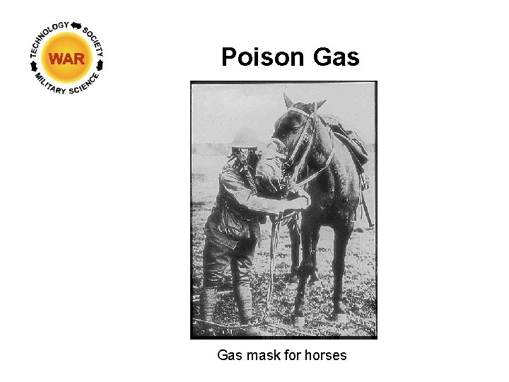 Poison Gas mask for horses 