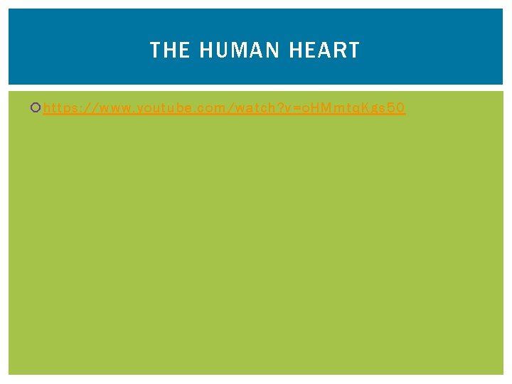 THE HUMAN HEART https: //www. youtube. com/watch? v=o. HMmtq. Kgs 50 