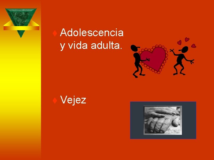 t Adolescencia y vida adulta. t Vejez 