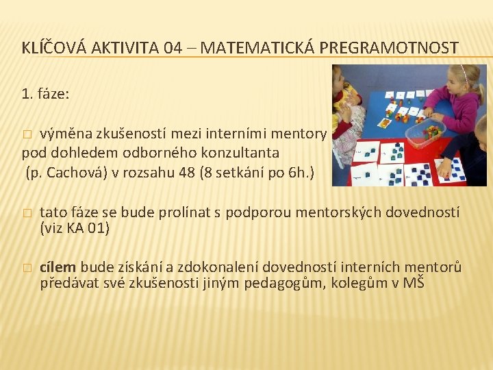 KLÍČOVÁ AKTIVITA 04 – MATEMATICKÁ PREGRAMOTNOST 1. fáze: výměna zkušeností mezi interními mentory pod