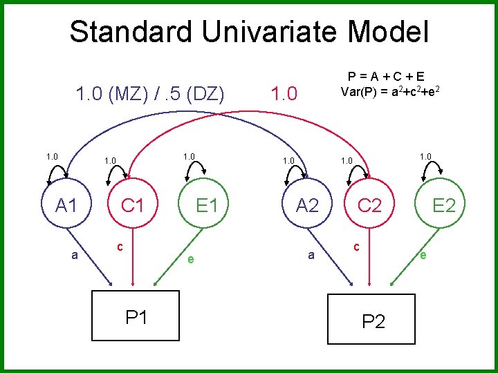 Standard Univariate Model 1. 0 (MZ) /. 5 (DZ) 1. 0 A 1 a
