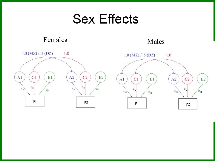 Sex Effects Females Males 