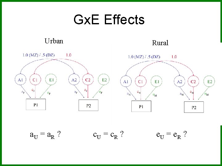 Gx. E Effects Urban a. U = a. R ? Rural c. U =