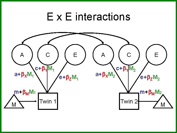 E x E interactions A a+ XM 1 C E c+ YM 1 e+