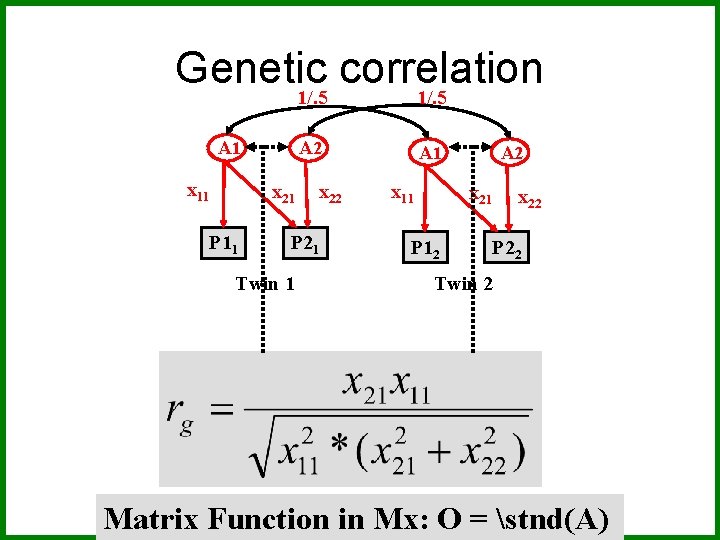 Genetic correlation 1/. 5 A 1 x 11 A 2 x 21 P 11