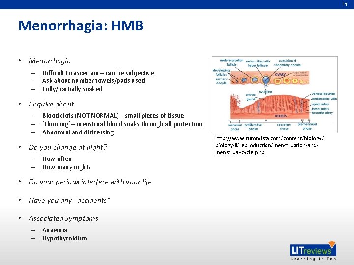 11 Menorrhagia: HMB • Menorrhagia – – – • Enquire about – – –